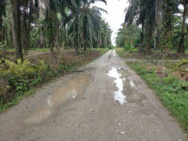 Yoğun sağanaktan sonra kırsal yolda su birikintisi bulundu..