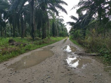 Yoğun sağanaktan sonra kırsal yolda su birikintisi bulundu..