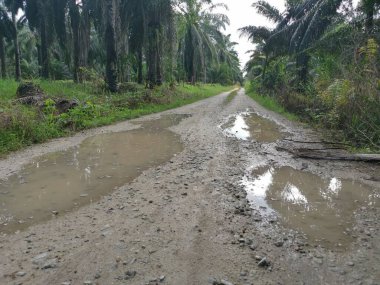 Yoğun sağanaktan sonra kırsal yolda su birikintisi bulundu..