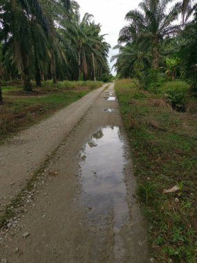 Yoğun sağanaktan sonra kırsal yolda su birikintisi bulundu..