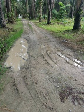 Yoğun sağanaktan sonra kırsal yolda su birikintisi bulundu..