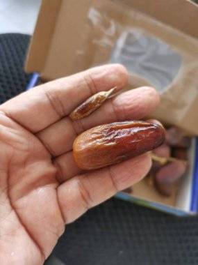 Tatlı tatlar ve besinlerle kurumuş hurmalar..