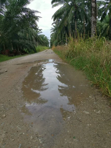 Puddle Found Rural Road Heavy Shower — Stock Photo, Image