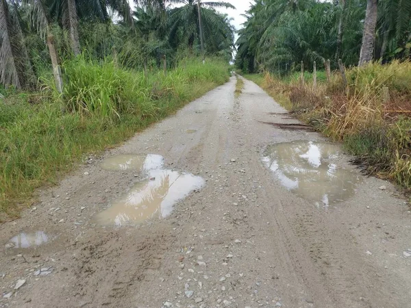 Yoğun sağanaktan sonra kırsal yolda su birikintisi bulundu..