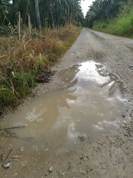 Yoğun sağanaktan sonra kırsal yolda su birikintisi bulundu..