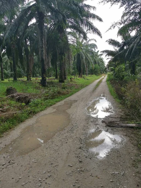 폭우가 쏟아진 도로에서 흙탕물 — 스톡 사진