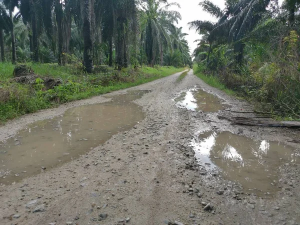 Yoğun sağanaktan sonra kırsal yolda su birikintisi bulundu..