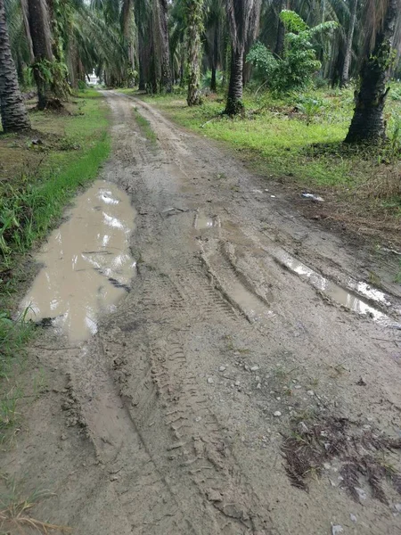 Yoğun sağanaktan sonra kırsal yolda su birikintisi bulundu..
