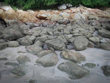 Güzel kayalık plaj manzarası