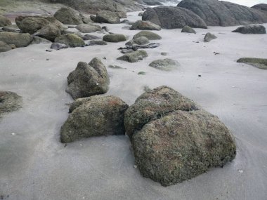 Güzel kayalık plaj manzarası