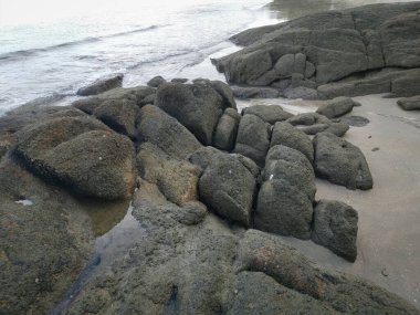 Güzel kayalık plaj manzarası