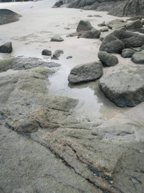 Güzel kayalık plaj manzarası