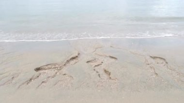 daytime scene of the sea wave moving onto the sandy beach