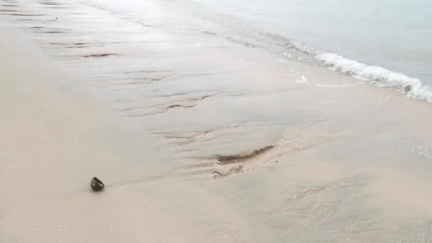 Daytime Scene Sea Wave Moving Sandy Beach — Vídeos de Stock