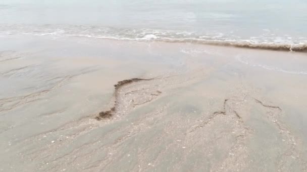 Daytime Scene Sea Wave Moving Sandy Beach — Vídeo de stock