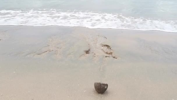 Daytime Scene Sea Wave Moving Sandy Beach — Vídeos de Stock