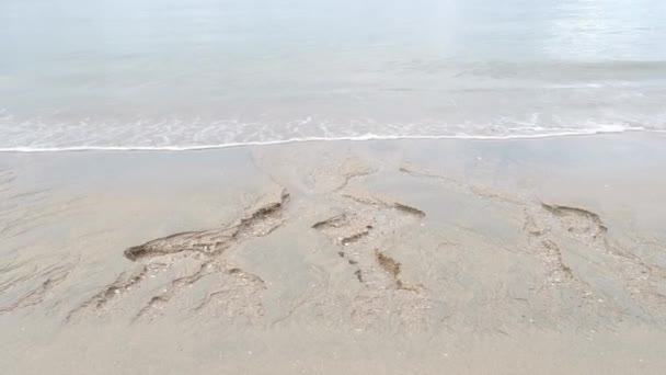 Daytime Scene Sea Wave Moving Sandy Beach — Vídeos de Stock