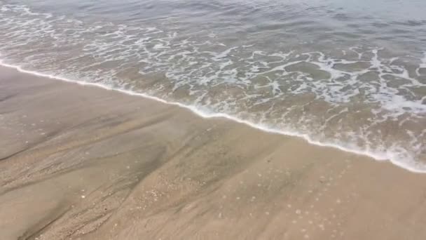 Денна Сцена Морської Хвилі Рухається Піщаному Пляжі — стокове відео
