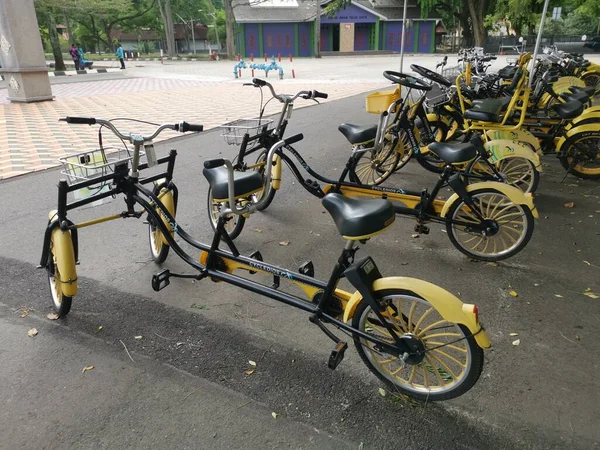 マレーシアのパーク 4月28 2021 Teluk Batic Resort Centerでの賃貸のための家族の活動やリラクゼーションパーク屋外で促進するスマートマレーシアの自転車ブランドビジネスのサイクルディオスのシーン — ストック写真