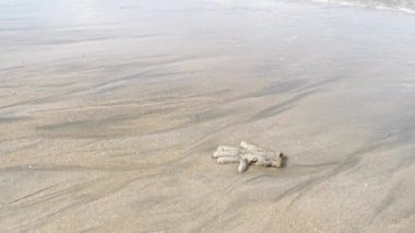 beach erosion due to sea water flowing