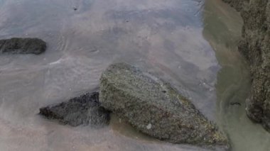 scenery of rocky boulders by the beach