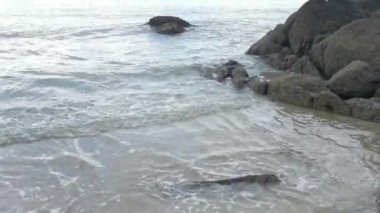scenery of rocky boulders by the beach