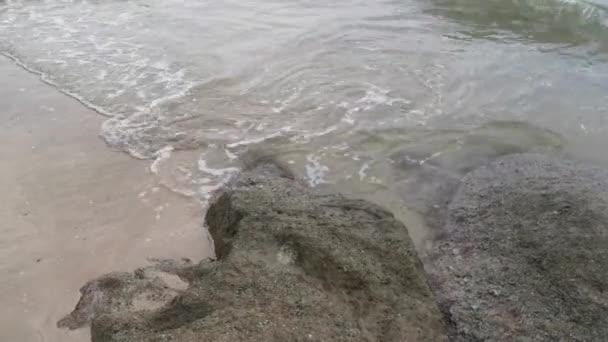 Scenery Rocky Boulders Beach — Stockvideo