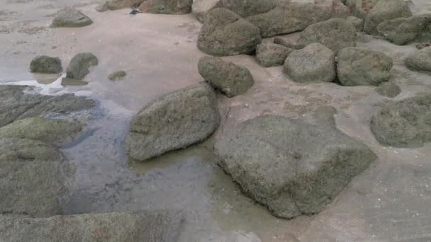 Scenery Rocky Boulders Beach — Video