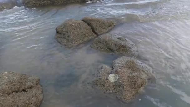 Scenery Rocky Boulders Beach — Stockvideo