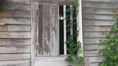 Terk edilmiş eski ahşap bina duvarı dokusu ve armatürü..