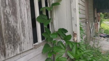 Terk edilmiş eski ahşap bina duvarı dokusu ve armatürü..