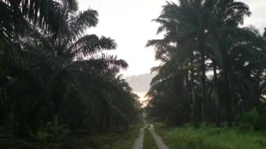 Kırsal çiftlik yolu kırsal kesimde gün doğumunda 