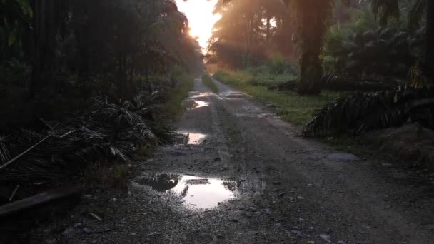 Granja Rural Camino Durante Amanecer Campo — Vídeo de stock