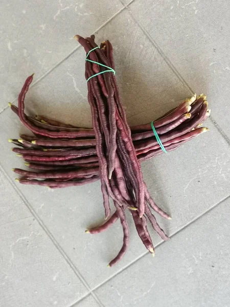 Paquet Légume Haricot Cordes Violet — Photo