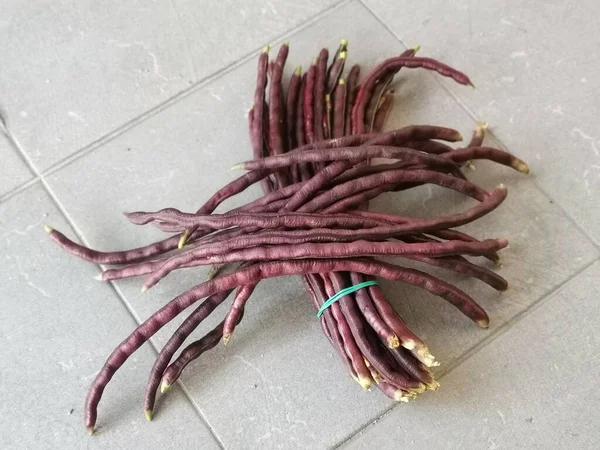 Wiązka Fioletowych Warzyw Strunowych — Zdjęcie stockowe