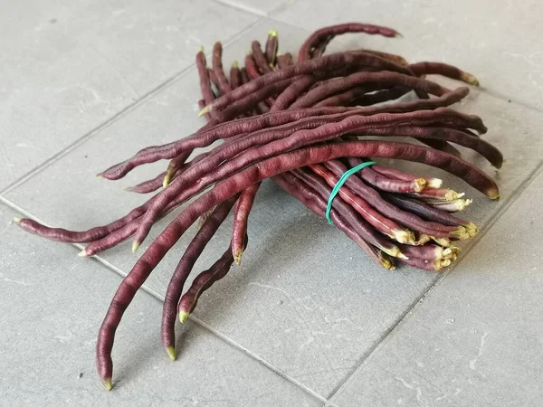 Paquete Verdura Frijol Cuerda Púrpura — Foto de Stock