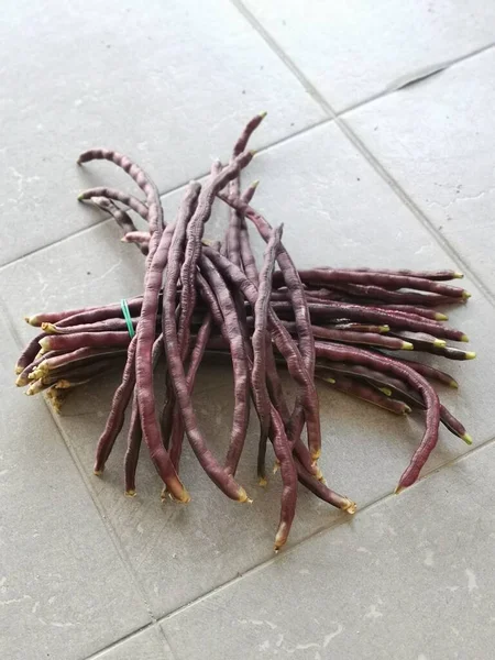 Pacote Vegetal Feijão Corda Roxo — Fotografia de Stock