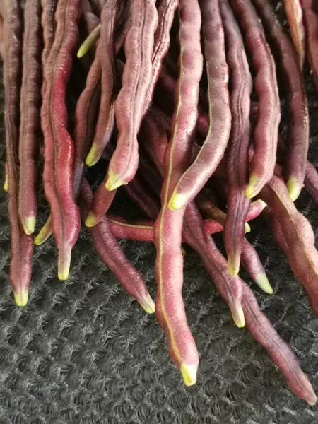 Paquete Verdura Frijol Cuerda Púrpura — Foto de Stock