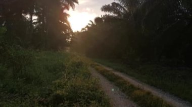 Kırsal çiftlik yolu kırsal kesimde gün doğumunda 