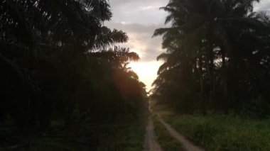 Kırsal çiftlik yolu kırsal kesimde gün doğumunda 