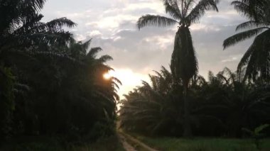 Kırsal çiftlik yolu kırsal kesimde gün doğumunda 