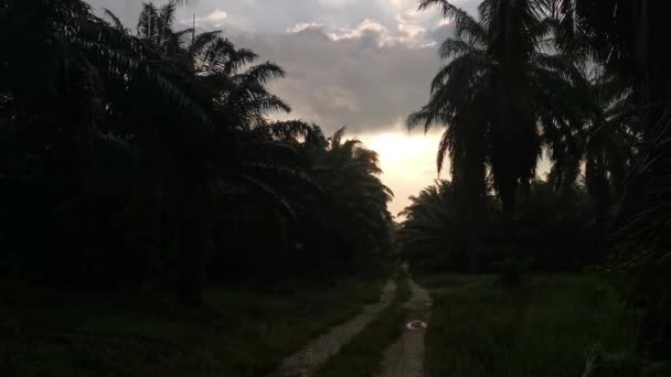 Landwirtschaftlicher Weg Bei Sonnenaufgang Auf Dem Land — Stockvideo