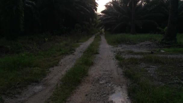 Granja Rural Camino Durante Amanecer Campo — Vídeos de Stock