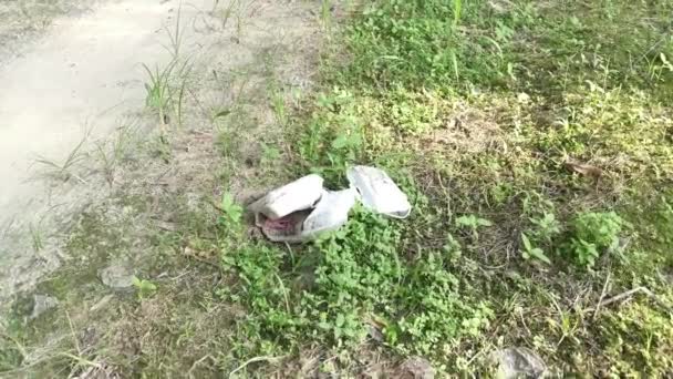 Disposed Dirty Polystyrene Boxes Thrown Away Field — Stock Video