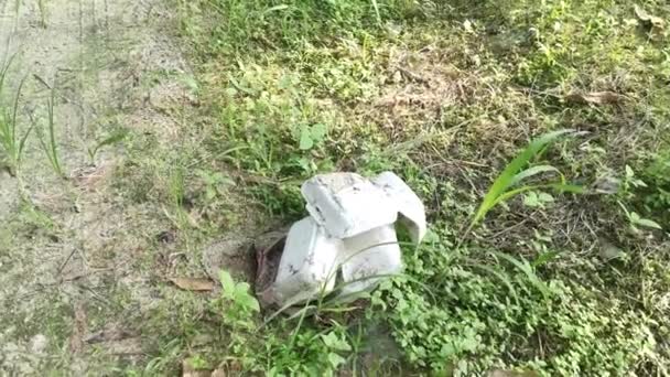 处置的脏乱的聚苯乙烯盒被扔到田里 — 图库视频影像