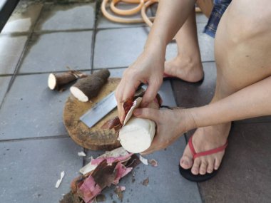 Deriyi soy, kes ve dilimle çiğ tapyoka kökü.