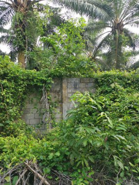 yüksek beton duvar bariyeri mülke izinsiz girmekten