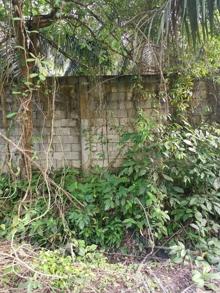 Hoge Betonnen Muur Barrière Van Inbraak Eigendom — Stockfoto