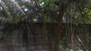 yüksek beton duvar bariyeri mülke izinsiz girmekten