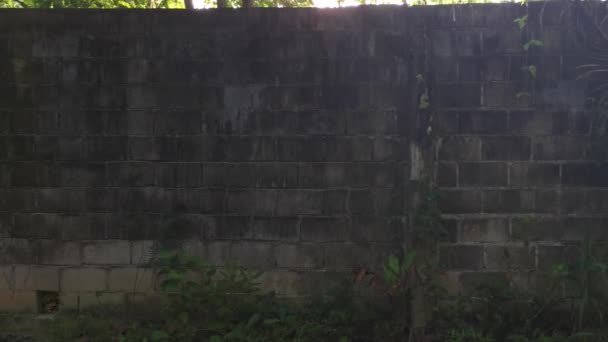 Hoge Betonnen Muur Barrière Van Inbraak Eigendom — Stockvideo